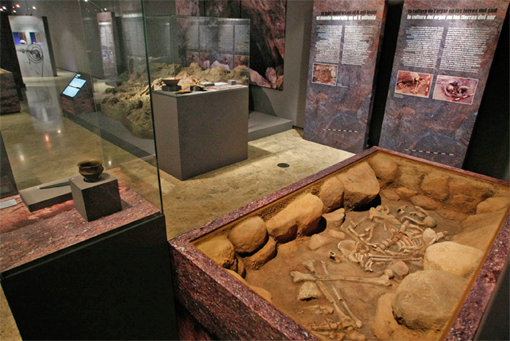 Exposición itinerante 'Restes de vida, restes de mort'