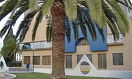 asv_entrada_principal_siempreviva_en_alicante