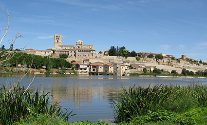 zamora