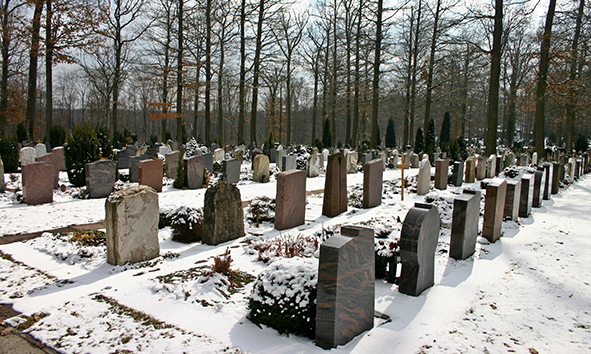 effs_cementerio_woodland