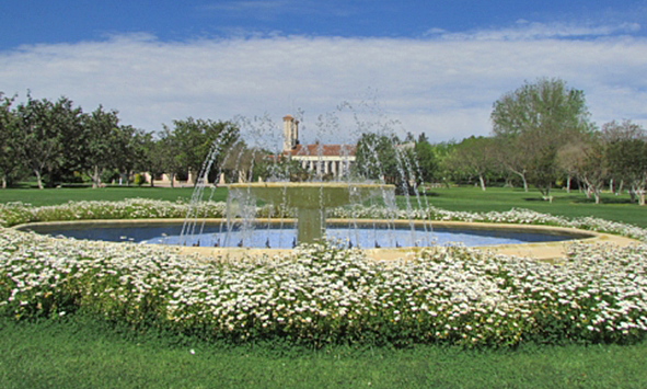 cementerio_parque_de_la_paz