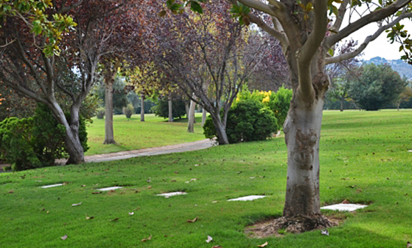 cementerio_parque_de_la_paz