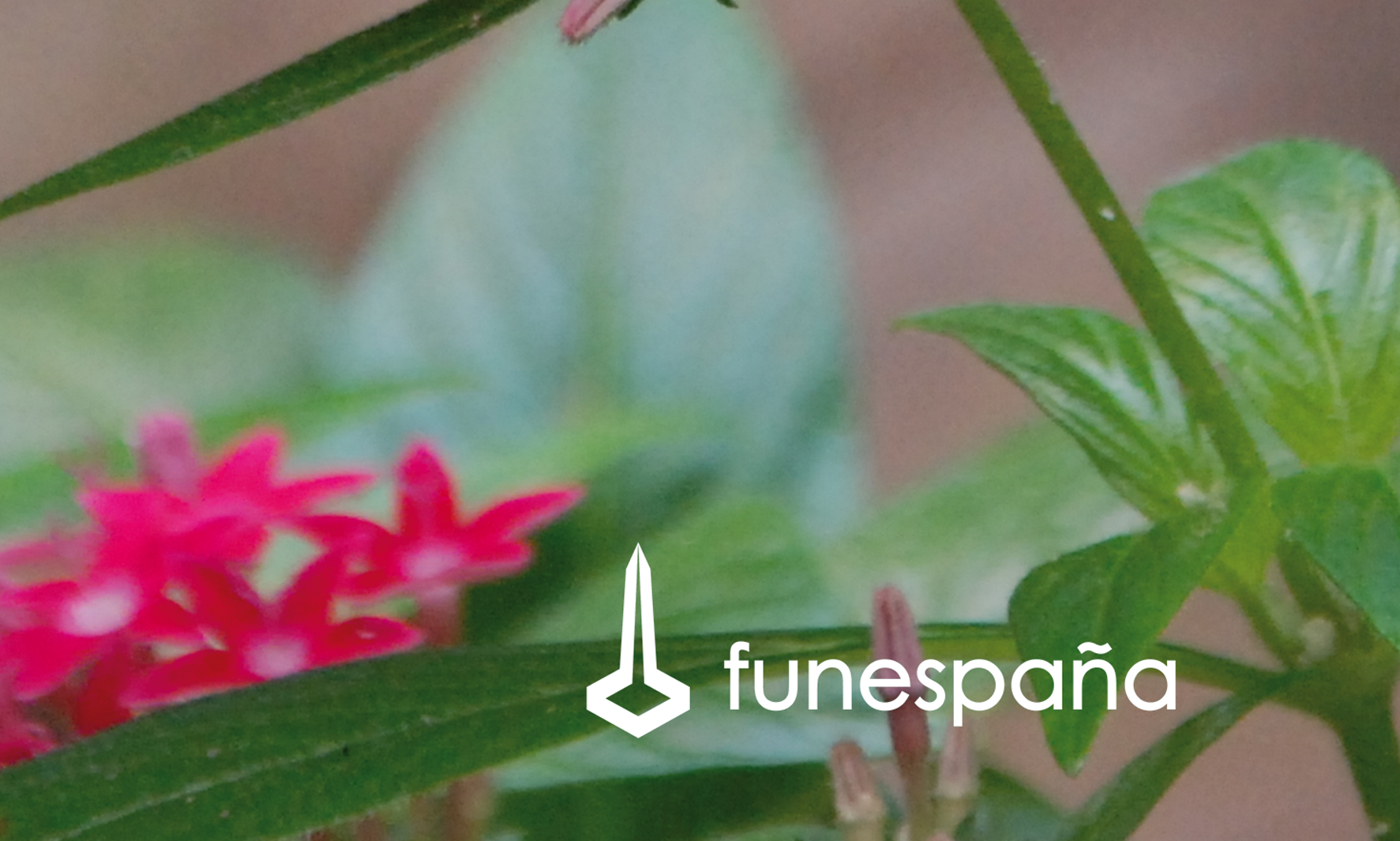 funespana_liquidacion_emsfmsa