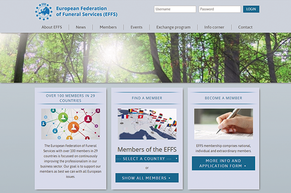 web_nueva_effs