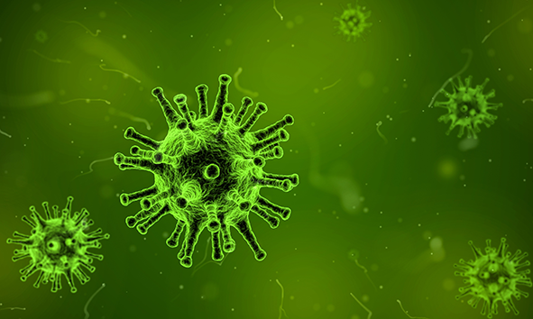 virus_de_la_gripe