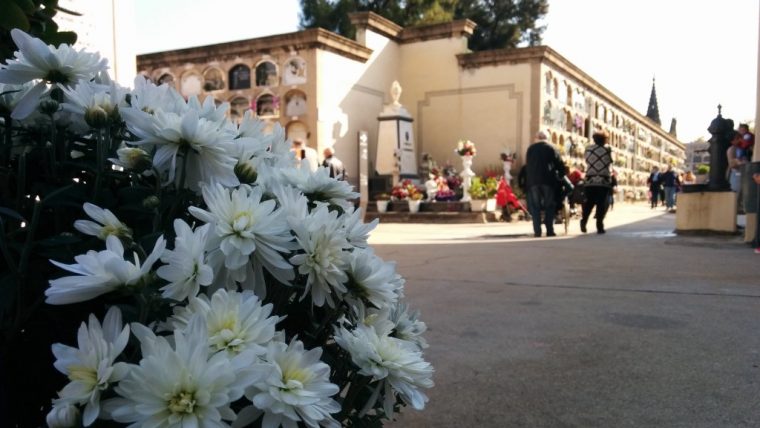 decreto_servicios_funerarios