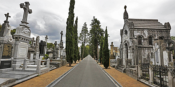 cementerio_de_polloe_visitas_guiadas