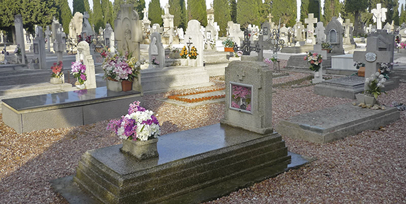 cemenenteriotorrero_tumbas_633_erfc-1