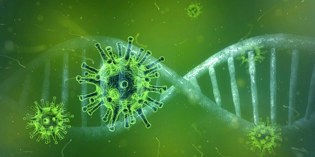 coronavirus-4833754_640