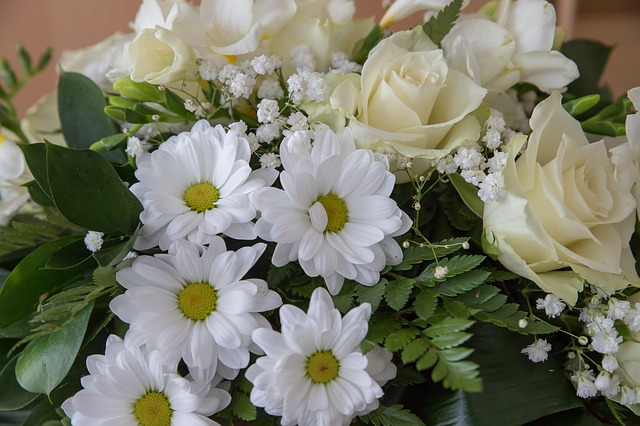 flowers-3990696_640