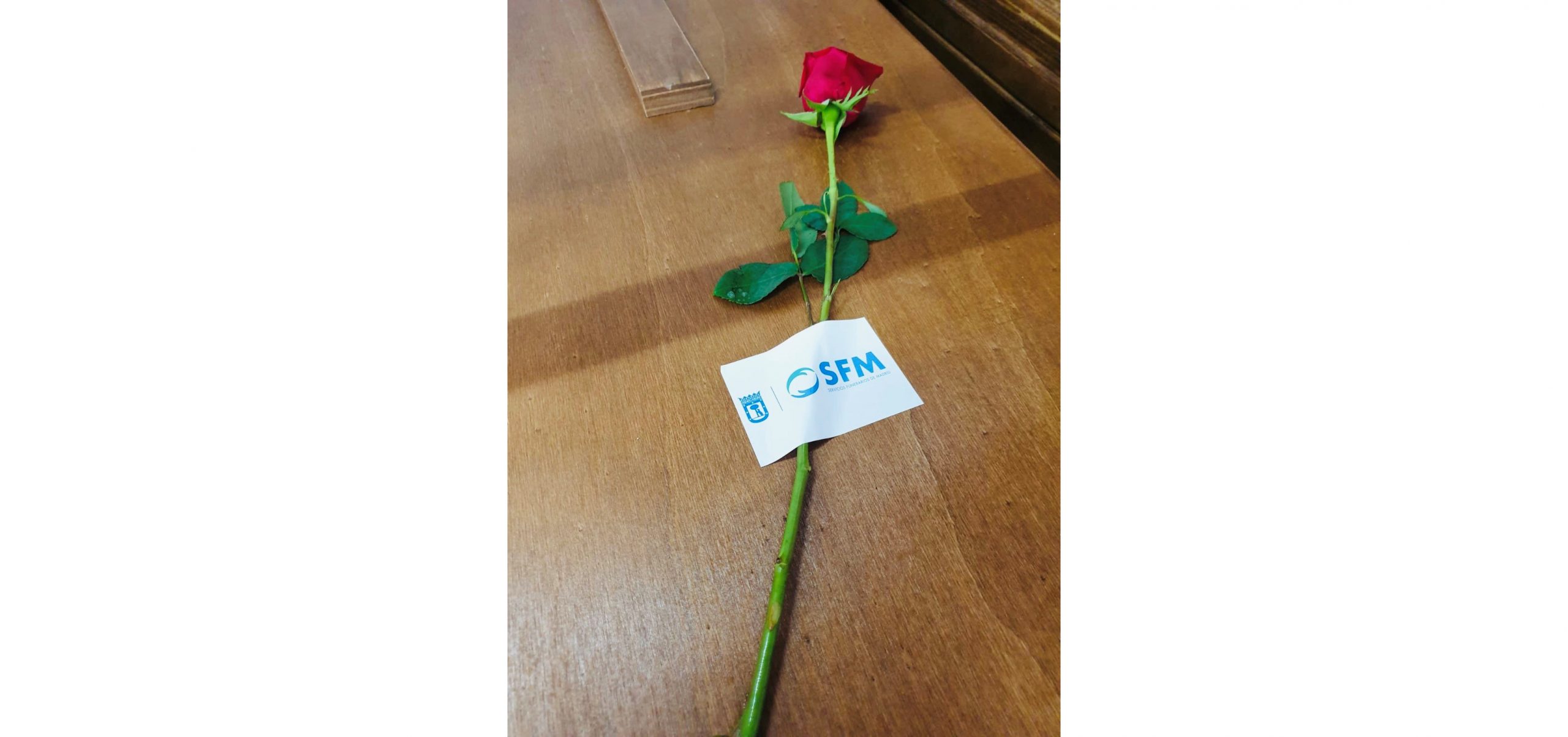 Flor SFM recor