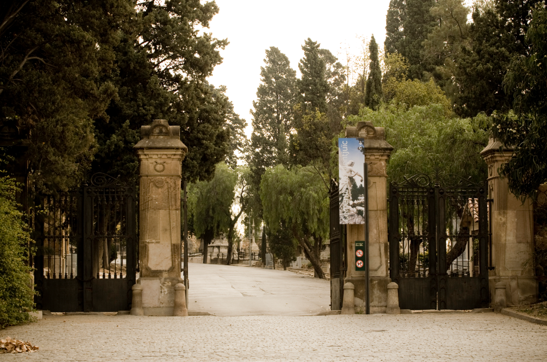 foto-porta-MT