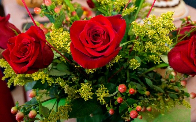 flore-3611639_640 (1)