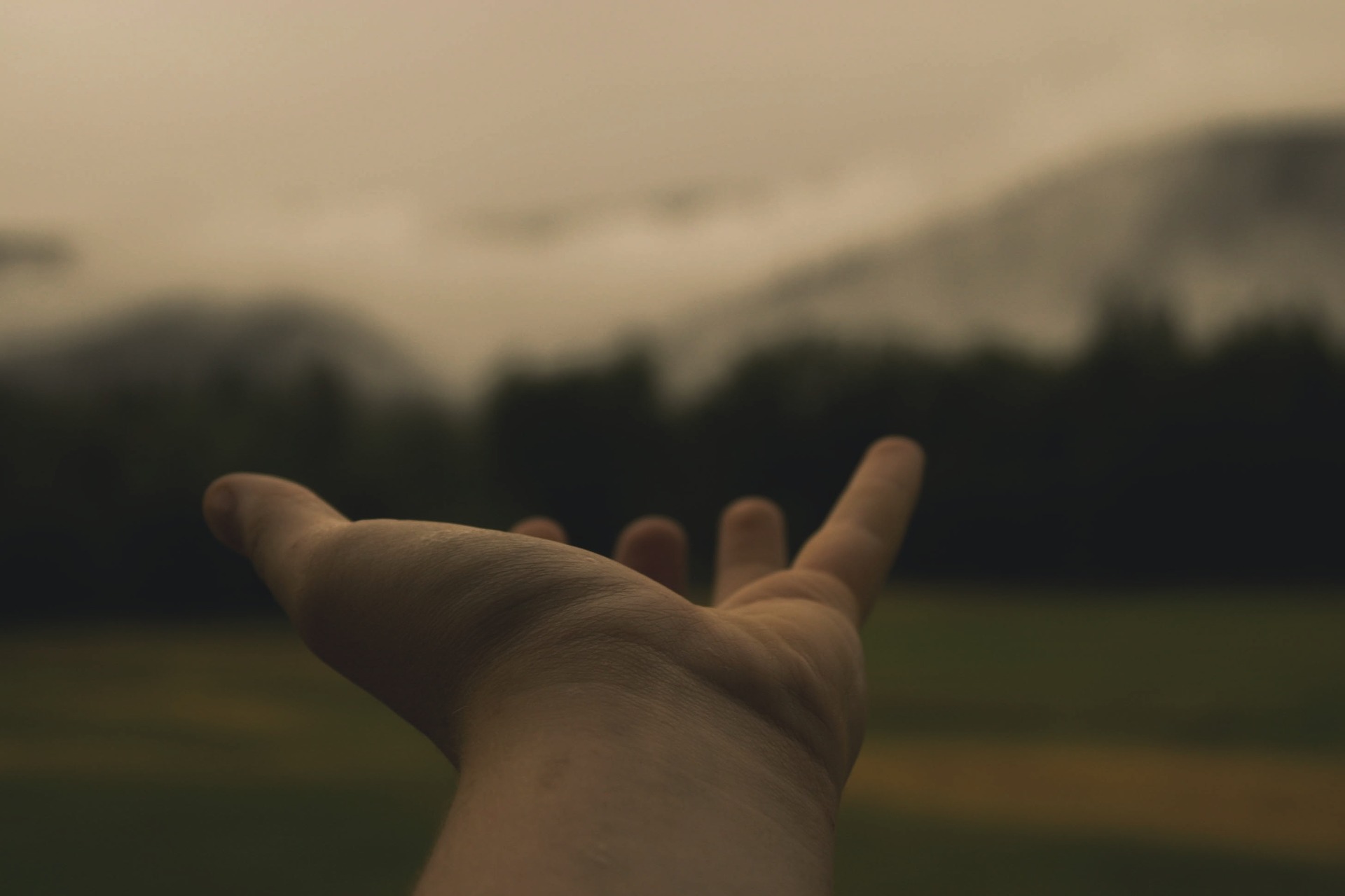 hand-846092_1920