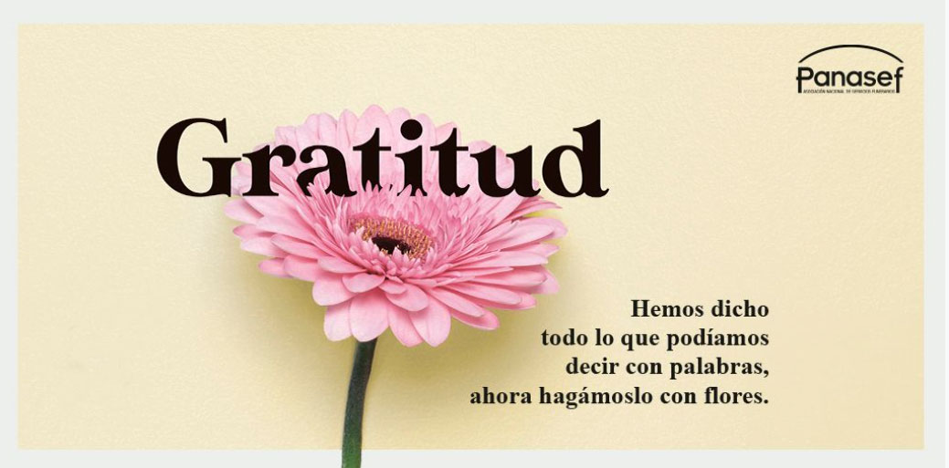 Flores-1