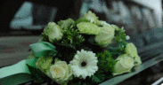 Con las Familias: El origen de las flores en los funerales