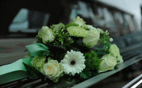 Con las Familias: El origen de las flores en los funerales