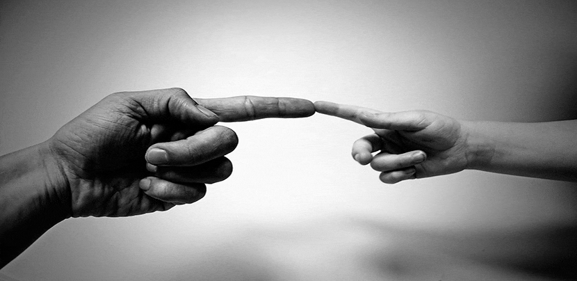 ¿Cómo funciona la donación de órganos?