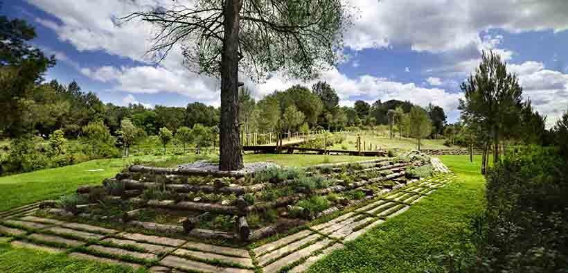 Áltima