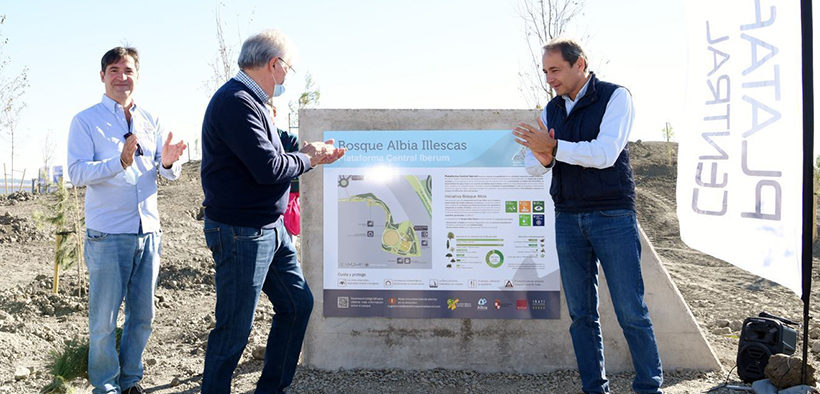 Grupo Albia