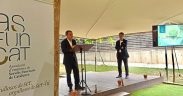 informe anual del sector