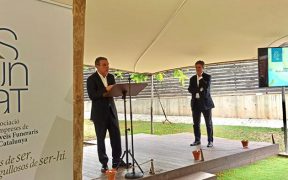 informe anual del sector